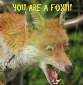 Rating: Safe Score: 0 Tags: 2012 ambiguous_gender brown_eyes canid canine e621 english_text feral fox fur humor mammal open_mouth orange_body orange_fur shocked shootemin solo surprised text whiskers User: bunchy7s