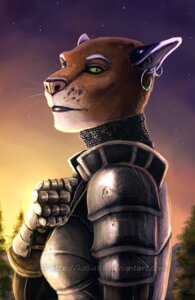 Rating: Safe Score: 0 Tags: 2011 anthro armor bethesda_game_studios detailed_background e621 ear_piercing felid female green_eyes kasia88 khajiit mammal microsoft oblivion piercing solo star sythgara the_elder_scrolls User: bunchy7s