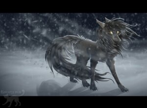 Rating: Safe Score: 0 Tags: 2012 blizzard_(weather) brown_eyes canid canine canis dark digitigrade e621 female feral fur grey_body grey_fur hi_res kocurzyca mammal night outside quadruped snow snowing solo tail winter wolf User: bunchy7s