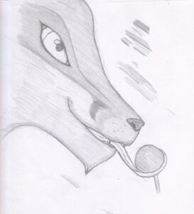 Rating: Safe Score: 0 Tags: absurd_res ambiguous_gender candy canid canine dessert e621 food fox graphite_(artwork) greyscale headshot_portrait hi_res jacora licking lollipop mammal monochrome portrait side_view solo tongue tongue_out traditional_media_(artwork) User: bunchy7s
