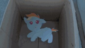 Rating: Safe Score: 0 Tags: animated animated_gif blue_body blue_feathers box container duo e621 equid equine feathered_wings feathers female feral friendship_is_magic hair hasbro human looking_at_viewer low_res mammal multicolored_hair my_little_pony mythological_creature mythological_equine mythology pegasus purple_eyes rainbow_dash_(mlp) rainbow_hair short_playtime unknown_artist wings young young_female young_feral User: bunchy7s Rating: Safe Score: 0 Tags: animated animated_gif blue_body blue_feathers box container duo e621 equid equine feathered_wings feathers female feral friendship_is_magic hair hasbro human looking_at_viewer low_res mammal multicolored_hair my_little_pony mythological_creature mythological_equine mythology pegasus purple_eyes rainbow_dash_(mlp) rainbow_hair short_playtime unknown_artist wings young young_female young_feral User: bunchy7s