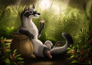 Rating: Safe Score: 0 Tags: 2013 asian_palm_civet beverage civet coffee conditional_dnp detailed_background e621 feral food forest kopi_luwak male mammal nature outside palm_civet plant solo tail tani_da_real tree viverrid User: bunchy7s