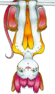 Rating: Explicit Score: 0 Tags: anthro dangling e621 feet female genitals green_eyes hair hindpaw looking_at_viewer mammal murid murine nude paws pink_hair rainbowshaven rat rodent solo tail upside_down vulva User: bunchy7s
