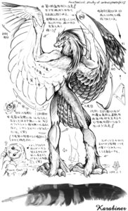 Rating: Questionable Score: 0 Tags: 1999 anatomy anthro avian bad_metadata beak bird black_and_white directional_arrow duo e621 feathered_wings feathers hi_res japanese_text karabiner male missing_sample model_sheet monochrome nude solo_focus species_sheet text translation_request wings User: bunchy7s Rating: Questionable Score: 0 Tags: 1999 anatomy anthro avian bad_metadata beak bird black_and_white directional_arrow duo e621 feathered_wings feathers hi_res japanese_text karabiner male missing_sample model_sheet monochrome nude solo_focus species_sheet text translation_request wings User: bunchy7s
