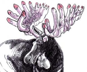 Rating: Explicit Score: 0 Tags: antlers balls canada deer e621 feral genitals horn low_res male mammal moose new_world_deer penis solo unknown_artist what_has_science_done User: bunchy7s