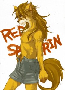 Rating: Questionable Score: 0 Tags: anthro bone bottomwear brown_hair canid canine caninu canis character_name clothed clothing cyberconnect2 domestic_dog e621 fur hair kokosimon little_tail_bronx male mammal mouth_hold open_bottomwear open_clothing open_pants orange_body orange_fur pants portrait red_savarin shiba_inu shorts side_view simple_background solatorobo solo spitz tail teasing text three-quarter_portrait topless white_background User: bunchy7s