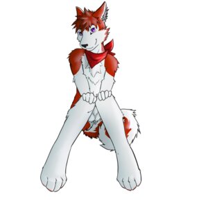 Rating: Explicit Score: 0 Tags: 1:1 4_toes 5_fingers anthro balls biped black_nose brown_body brown_fur brown_hair brown_tail canid canine canis cenny clothing domestic_dog e621 feet fingers fluffy fluffy_tail front_view fur genitals hair hand_on_knee hand_on_leg hand_on_own_knee hand_on_own_leg hi_res husky kerchief kerchief_only looking_at_viewer male mammal mostly_nude multicolored_body multicolored_fur neckerchief neckerchief_only neckwear nordic_sled_dog nude purple_eyes red_kerchief red_neckerchief shynjy simple_background sitting slim slim_anthro slim_male smile snout solo spitz tail toes two_tone_body two_tone_fur two_tone_tail white_background white_balls white_body white_fur white_tail User: bunchy7s