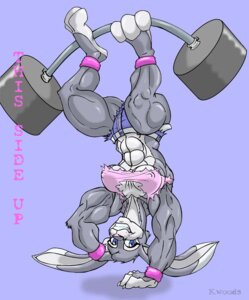 Rating: Safe Score: 0 Tags: abs biceps black-rat e621 exercise female holding_object lagomorph leporid mammal muscular muscular_female rabbit sara_(jdrabbit1) solo thick_thighs upside_down weightlifting weights workout User: bunchy7s