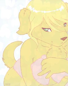 Rating: Questionable Score: 0 Tags: 2011 4:5 anthro blonde_hair breasts canid canine canis chest_tuft clothed clothing covering covering_self domestic_dog e621 female fur green_eyes hair hush-a-bye low_res mammal simple_background skimpy solo tail towel tuft white_background yellow_theme User: bunchy7s Rating: Questionable Score: 0 Tags: 2011 4:5 anthro blonde_hair breasts canid canine canis chest_tuft clothed clothing covering covering_self domestic_dog e621 female fur green_eyes hair hush-a-bye low_res mammal simple_background skimpy solo tail towel tuft white_background yellow_theme User: bunchy7s