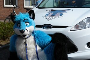 Rating: Safe Score: 0 Tags: anthro arend_studios blue_body blue_eyes blue_fur canid canine car clothing collar costume e621 finnfox ford fox fur fursuit grandfathered_content leash looking_at_viewer male mammal photography_(artwork) real solo vehicle User: bunchy7s