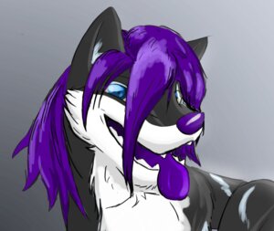 Rating: Safe Score: 0 Tags: blue_eyes canid canine canis domestic_dog e621 fur grey_body grey_fur hair husky kunako lesterhusky long_hair male mammal nordic_sled_dog purple_hair solo spitz User: bunchy7s Rating: Safe Score: 0 Tags: blue_eyes canid canine canis domestic_dog e621 fur grey_body grey_fur hair husky kunako lesterhusky long_hair male mammal nordic_sled_dog purple_hair solo spitz User: bunchy7s