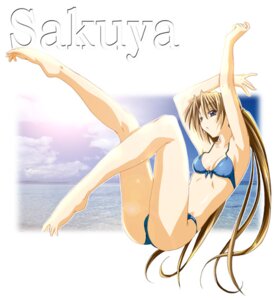 Rating: Explicit Score: 0 Tags: armpits arms_up bikini blue_eyes brown_hair character_name female long_hair rule34 sakuya_(sister_princess) sister_princess solo swimsuit User: bunchy7s Rating: Explicit Score: 0 Tags: armpits arms_up bikini blue_eyes brown_hair character_name female long_hair rule34 sakuya_(sister_princess) sister_princess solo swimsuit User: bunchy7s