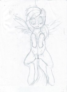 Rating: Explicit Score: 0 Tags: anatomically_correct anatomically_correct_genitalia anatomically_correct_vulva animal_genitalia animal_vulva anus butt doe-shmo e621 equid equine equine_genitalia equine_vulva feathered_wings feathers female female_feral feral friendship_is_magic genitals hair hasbro hooves jac looking_at_viewer lying mammal monochrome my_little_pony mythological_creature mythological_equine mythology on_back parasprite_(mlp) pegasus puffy_anus quadruped rainbow_dash_(mlp) sketch smile solo spread_legs spreading tail teats teeth vulva wings User: bunchy7s