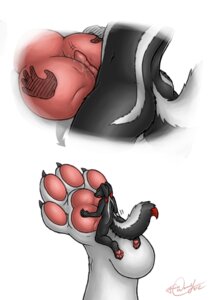 Rating: Explicit Score: 0 Tags: 2012 4_toes anthro claws duo e621 erection feet foot_fetish foot_play footjob forceswerwolf genitals hindpaw macro male micro pawpads paws penile penis sex signature simple_background size_difference skunkhase swiftayama toe_claws toes unknown_species white_background User: bunchy7s