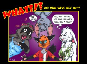 Rating: Explicit Score: 0 Tags: anthro bat bib blue_eyes blue_sclera bodily_fluids buckteeth claws clothing cum cum_in_mouth cum_inside desiree_lee domestic_cat e621 ear_piercing echo_(jmh) english_text fangs felid feline felis female fur genital_fluids grey_body grey_fur group hair_curlers half-closed_eyes ivory_(btt) lagomorph leporid mammal melody_(btt) narrowed_eyes one_eye_closed open_mouth orange_body orange_fur piercing procyonid rabbit raccoon shocked siamese_cat sugar_ming surprised teeth text whiskers white_body white_fur yellow_sclera User: bunchy7s