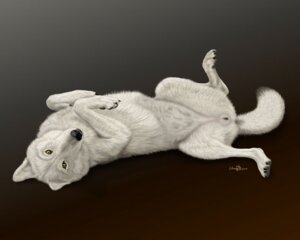 Rating: Explicit Score: 0 Tags: amber_eyes anatomically_correct anatomically_correct_genitalia anatomically_correct_vulva animal_genitalia animal_vulva arctic_wolf black_claws black_lips black_nose canid canine canine_genitalia canine_vulva canis claws e621 ebon_lupus female feral fluffy fluffy_tail genitals gradient_background inner_ear_fluff lips lying mammal on_back paws simple_background solo tail tuft vulva wolf User: bunchy7s Rating: Explicit Score: 0 Tags: amber_eyes anatomically_correct anatomically_correct_genitalia anatomically_correct_vulva animal_genitalia animal_vulva arctic_wolf black_claws black_lips black_nose canid canine canine_genitalia canine_vulva canis claws e621 ebon_lupus female feral fluffy fluffy_tail genitals gradient_background inner_ear_fluff lips lying mammal on_back paws simple_background solo tail tuft vulva wolf User: bunchy7s