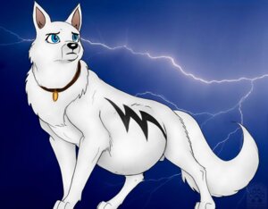Rating: Explicit Score: 0 Tags: animal_genitalia belly big_belly bolt_(bolt) bolt_(film) canid canine canis collar disney domestic_dog e621 feral fully_sheathed fur geckoguy123456789 genitals german_shepherd herding_dog leovictor male mammal pastoral_dog pregnant pregnant_male sheath solo what white_body white_fur User: bunchy7s