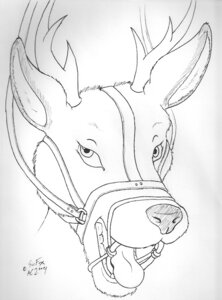 Rating: Questionable Score: 0 Tags: 2009 bdsm bondage bound bridle deer e621 feral gag gagged halter harness harness_gag horn male mammal monochrome muzzle_(object) new_world_deer open_mouth_gag reins ring_gag simple_background sirfox solo submissive submissive_male teeth tongue tongue_out traditional_media_(artwork) white-tailed_deer white_background User: bunchy7s