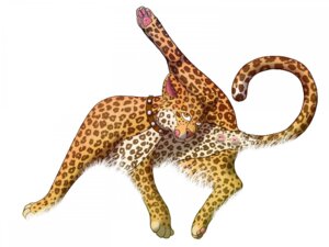 Rating: Explicit Score: 0 Tags: 4:3 anatomically_correct anatomically_correct_genitalia anatomically_correct_vulva animal_genitalia animal_vulva anus collar e621 felid feline_genitalia feline_vulva female feral genitals kisu leopard mammal mjjjau pantherine simple_background solo tail tail_anus vulva wallpaper white_background User: bunchy7s