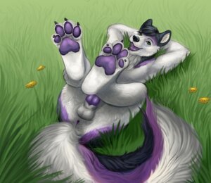 Rating: Explicit Score: 0 Tags: 4_toes animal_genitalia anthro anus arms_above_head balls barefoot biped black_hair canid canine canis claws digitigrade domestic_dog e621 erection feet field flower fluffy fluffy_tail foot_focus fur genitals grass green_eyes hair hands_behind_head happy hindpaw husky knot legs_up looking_at_viewer lying male mammal multicolored_body multicolored_fur nordic_sled_dog nude on_back on_ground outside pawpads paws penis pinup plant playful pose purple_body purple_fur purple_pawpads purple_penis relaxing sheath smile soles solo spitz tail theowlette toes two_tone_body two_tone_fur white_body white_fur User: bunchy7s