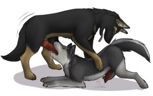 Rating: Explicit Score: 0 Tags: animal_genitalia animal_penis balls bodily_fluids canid canine canine_genitalia canine_penis canis cum cum_in_mouth cum_inside cum_while_penetrated cumshot domestic_dog dripping duo e621 ejaculation erection fellatio feral feral_on_feral genital_fluids genitals german_shepherd hands-free herding_dog knot male male/male male_penetrated male_penetrating male_penetrating_male mammal nude oral oral_orgasm oral_penetration orgasm pastoral_dog penetration penile penis sex simple_background streetdog tail tongue tongue_out white_background wolf zoophilic User: bunchy7s Rating: Explicit Score: 0 Tags: animal_genitalia animal_penis balls bodily_fluids canid canine canine_genitalia canine_penis canis cum cum_in_mouth cum_inside cum_while_penetrated cumshot domestic_dog dripping duo e621 ejaculation erection fellatio feral feral_on_feral genital_fluids genitals german_shepherd hands-free herding_dog knot male male/male male_penetrated male_penetrating male_penetrating_male mammal nude oral oral_orgasm oral_penetration orgasm pastoral_dog penetration penile penis sex simple_background streetdog tail tongue tongue_out white_background wolf zoophilic User: bunchy7s