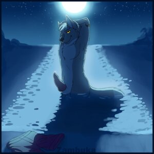 Rating: Explicit Score: 0 Tags: 1:1 anthro balls canid canine canis clothing cool_colors digital_media_(artwork) e621 erection genitals knot male mammal moon night nude outside penis pose seductive sky solo star starry_sky swimming_trunks swimwear tail volfenstu wolf zambuka User: bunchy7s