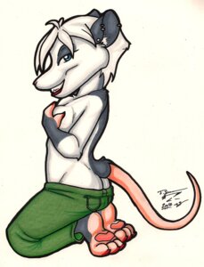 Rating: Questionable Score: 0 Tags: 2010 american_opossum anthro bailey_(os) barefoot biped blue_eyes bottomwear breasts clothed clothing covering covering_self e621 ear_piercing feet female hair kneeling looking_at_viewer mammal marsupial os pants piercing side_view simple_background smile solo tail topless virginia_opossum white_background white_hair User: bunchy7s Rating: Questionable Score: 0 Tags: 2010 american_opossum anthro bailey_(os) barefoot biped blue_eyes bottomwear breasts clothed clothing covering covering_self e621 ear_piercing feet female hair kneeling looking_at_viewer mammal marsupial os pants piercing side_view simple_background smile solo tail topless virginia_opossum white_background white_hair User: bunchy7s