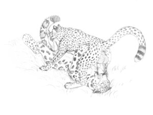 Rating: Explicit Score: 0 Tags: 4:3 69_position animal_genitalia anthro anthro_on_feral anthro_penetrated backsack balls bestiality big_balls big_penis cheetah duo e621 erection felid feline fellatio feral feral_on_feral feral_penetrating feral_penetrating_anthro foxywolf fur genitals interspecies leopard licking male male/male male_penetrated male_penetrating male_penetrating_male mammal monochrome oral oral_penetration pantherine penetration penile penis sex sheath snow_leopard sucking tail tongue tongue_out User: bunchy7s Rating: Explicit Score: 0 Tags: 4:3 69_position animal_genitalia anthro anthro_on_feral anthro_penetrated backsack balls bestiality big_balls big_penis cheetah duo e621 erection felid feline fellatio feral feral_on_feral feral_penetrating feral_penetrating_anthro foxywolf fur genitals interspecies leopard licking male male/male male_penetrated male_penetrating male_penetrating_male mammal monochrome oral oral_penetration pantherine penetration penile penis sex sheath snow_leopard sucking tail tongue tongue_out User: bunchy7s
