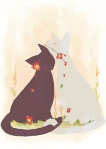 Rating: Safe Score: 0 Tags: ambiguous_gender black_body black_fur detailed_background domestic_cat duo e621 entwined_tails eyes_closed felid feline felis feral flower fur mammal mirunai mouth_hold pink_nose plant romantic romantic_couple sitting smile tail tail_coil white_body white_fur User: bunchy7s