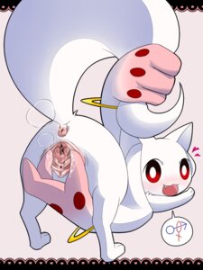 Rating: Explicit Score: 0 Tags: 3:4 anus ass_up blush bodily_fluids censored clitoris domestic_cat e621 felid feline felis female feral genital_fluids genitals heart_symbol hi_res incubator_(puella_magi) kyubey long_inner_ear_fluff looking_at_viewer looking_back lying mammal mosaic_censorship on_front open_mouth prehensible_ears presenting puella_magi puella_magi_madoka_magica raised_tail red_eyes ring solo spread_vulva spreading tail teeth vaginal_fluids vulva watarai_minato User: bunchy7s Rating: Explicit Score: 0 Tags: 3:4 anus ass_up blush bodily_fluids censored clitoris domestic_cat e621 felid feline felis female feral genital_fluids genitals heart_symbol hi_res incubator_(puella_magi) kyubey long_inner_ear_fluff looking_at_viewer looking_back lying mammal mosaic_censorship on_front open_mouth prehensible_ears presenting puella_magi puella_magi_madoka_magica raised_tail red_eyes ring solo spread_vulva spreading tail teeth vaginal_fluids vulva watarai_minato User: bunchy7s