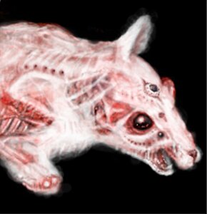 Rating: Safe Score: 0 Tags: ambiguous_gender black_background black_eyes body_horror e621 fangs fur john_carpenter lol_comments mammal multi_eye murid murine nightmare_fuel rat rodent shopped simple_background solo teeth third-party_edit unknown_artist what what_has_science_done white_body white_fur User: bunchy7s Rating: Safe Score: 0 Tags: ambiguous_gender black_background black_eyes body_horror e621 fangs fur john_carpenter lol_comments mammal multi_eye murid murine nightmare_fuel rat rodent shopped simple_background solo teeth third-party_edit unknown_artist what what_has_science_done white_body white_fur User: bunchy7s