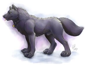 Rating: Explicit Score: 0 Tags: 2006 animal_genitalia black_body black_fur canid canine canis collar e621 feral fully_sheathed fur genitals male mammal moonstalker_(character) paws quadruped richard_foley sheath side_view simple_background solo tail tongue white_background wolf User: bunchy7s Rating: Explicit Score: 0 Tags: 2006 animal_genitalia black_body black_fur canid canine canis collar e621 feral fully_sheathed fur genitals male mammal moonstalker_(character) paws quadruped richard_foley sheath side_view simple_background solo tail tongue white_background wolf User: bunchy7s