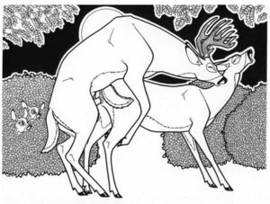 Rating: Explicit Score: 0 Tags: animal_genitalia animal_penis animal_vulva antlers being_watched black_and_white caught_in_the_act cervine_genitalia cervine_penis cervine_vulva deer e621 erection eyes_closed female feral from_behind_position genitals group hooves horn intraspecies looking_at_another male male/female male_penetrating mammal monochrome mounting new_world_deer night nude peeping penetration penis plant sex shrub side_view tim_o'rourke vaginal vaginal_penetration voyeur vulva white-tailed_deer young young_feral User: bunchy7s