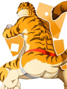 Rating: Questionable Score: 0 Tags: 5_toes acteight anthro blue_eyes bodily_fluids butt clothed clothing container cup e621 ears_back feet felid hindpaw holding_container holding_cup holding_object humanoid_feet jockstrap looking_at_viewer looking_back male mammal muscular muscular_anthro muscular_male nervous pantherine paws pivoted_ears plantigrade raised_tail rear_view solo sweat tail tiger toes topless underwear User: bunchy7s