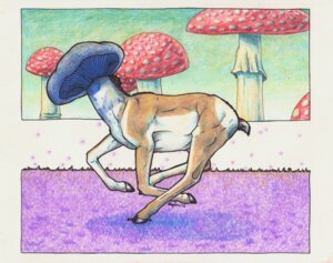 Rating: Safe Score: 0 Tags: 2013 ambiguous_gender battleferrets deer e621 elemental_creature feral for_a_head fungi_fauna fungus hooves hybrid mammal mushroom object_head outside running shadderstag solo surrealism traditional_media_(artwork) what what_has_science_done User: bunchy7s