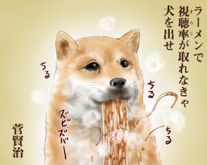 Rating: Safe Score: 0 Tags: 2008 :3 ambiguous_gender black_eyes canid canine canis domestic_dog e621 eating food mammal narutomaki noodles ramen shiba_inu solo spitz steam ujiga_waita User: bunchy7s Rating: Safe Score: 0 Tags: 2008 :3 ambiguous_gender black_eyes canid canine canis domestic_dog e621 eating food mammal narutomaki noodles ramen shiba_inu solo spitz steam ujiga_waita User: bunchy7s