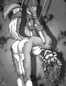 Rating: Explicit Score: 0 Tags: 2002 anthro arms_tied ball_gag bdsm bondage bound breasts canid canine e621 female fox gag gagged gearlock genitals greyscale halter hands_tied harness harness_ball_gag harness_gag looking_at_viewer mammal monochrome muzzle_(object) nipples nude raised_tail restraints rope rope_bondage solo submissive submissive_female tail tail_bondage tail_tied upside_down vulva User: bunchy7s Rating: Explicit Score: 0 Tags: 2002 anthro arms_tied ball_gag bdsm bondage bound breasts canid canine e621 female fox gag gagged gearlock genitals greyscale halter hands_tied harness harness_ball_gag harness_gag looking_at_viewer mammal monochrome muzzle_(object) nipples nude raised_tail restraints rope rope_bondage solo submissive submissive_female tail tail_bondage tail_tied upside_down vulva User: bunchy7s