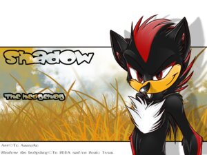 Rating: Safe Score: 0 Tags: 4:3 annasko anthro black_body black_fur chest_tuft clothing cloud e621 eulipotyphlan fur grass handwear hedgehog looking_at_viewer male mammal plant red_eyes sega shadow_the_hedgehog smile smug solo sonic_the_hedgehog_(series) tuft User: bunchy7s