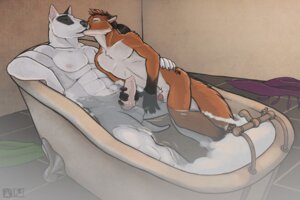 Rating: Explicit Score: 0 Tags: abs animal_genitalia animal_penis anthro athletic balls bama bath bathtub biceps big_muscles black_body black_fur black_hair black_nose brown_body brown_fur brown_hair bull_terrier canid canine canine_genitalia canine_penis canis chest_tuft claw_foot_bathtub claws detached_sheath domestic_dog duo e621 erection eyes_closed facial_hair flaccid fox fur genitals goatee hair handjob hunting_dog inside interspecies kissing kneeling knot love lying male male/male mammal muscular muscular_male nipples nude on_back on_side orange_body orange_fur partially_submerged peable pecs penile penis penis_grab penis_tip ponytail romantic romantic_couple sex sheath spread_legs spreading tail tattoo terrier towel tsaiwolf tuft water wet white_body white_fur User: bunchy7s Rating: Explicit Score: 0 Tags: abs animal_genitalia animal_penis anthro athletic balls bama bath bathtub biceps big_muscles black_body black_fur black_hair black_nose brown_body brown_fur brown_hair bull_terrier canid canine canine_genitalia canine_penis canis chest_tuft claw_foot_bathtub claws detached_sheath domestic_dog duo e621 erection eyes_closed facial_hair flaccid fox fur genitals goatee hair handjob hunting_dog inside interspecies kissing kneeling knot love lying male male/male mammal muscular muscular_male nipples nude on_back on_side orange_body orange_fur partially_submerged peable pecs penile penis penis_grab penis_tip ponytail romantic romantic_couple sex sheath spread_legs spreading tail tattoo terrier towel tsaiwolf tuft water wet white_body white_fur User: bunchy7s