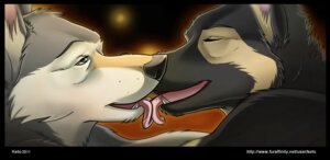 Rating: Safe Score: 0 Tags: 2011 anthro black_border border canid canine canis domestic_dog duo e621 french_kissing german_shepherd herding_dog kashra keto kissing love male male/male mammal pastoral_dog radjin_(radjinwolf) text tongue url wolf User: bunchy7s Rating: Safe Score: 0 Tags: 2011 anthro black_border border canid canine canis domestic_dog duo e621 french_kissing german_shepherd herding_dog kashra keto kissing love male male/male mammal pastoral_dog radjin_(radjinwolf) text tongue url wolf User: bunchy7s