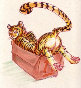 Rating: Explicit Score: 0 Tags: 2009 4_toes all_fours anthro anus ass_up biped black_body black_fur box butt cardboard cardboard_box claws container digitigrade e621 feet felid female fur genitals half-closed_eyes if_it_fits_i_sits_(meme) in_box in_container looking_back lying mammal meme narrowed_eyes nude on_front orange_body orange_fur pantherine pawpads paws pink_pawpads presenting presenting_hindquarters raised_tail soles solo stripes tail tail_anus this_way_up tiger toe_claws toes uaykan vulva User: bunchy7s