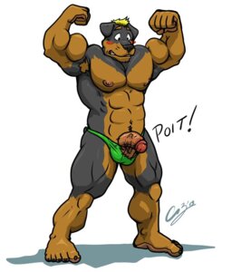 Rating: Explicit Score: 0 Tags: 2013 5_toes abs anthro armpit_hair balls biceps big_feet big_muscles biped blonde_hair blush body_hair bruce_(chestnuts) canid canine canis chestnuts_(artist) clothed clothing domestic_dog e621 embarrassed erection feet flexing genitals hair humanoid_feet humanoid_genitalia humanoid_penis male mammal mastiff molosser muscular muscular_anthro muscular_male nude pecs penis plantigrade pose rottweiler simple_background skimpy solo speedo standing swimwear thong toes topless underwear wardrobe_malfunction white_background User: bunchy7s