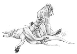 Rating: Explicit Score: 0 Tags: 2009 anatomically_correct anatomically_correct_genitalia animal_genitalia animal_penis anthro blotch bodily_fluids cum dasyuromorph duo e621 erection extant/extinct genital_fluids genitals kangaroo macropod male male/male mammal marsupial marsupial_penis monochrome open_mouth penis recently_extinct_species scratches_volume_3 simple_background spread_legs spreading tail tapering_penis thylacine traditional_media_(artwork) white_background User: bunchy7s Rating: Explicit Score: 0 Tags: 2009 anatomically_correct anatomically_correct_genitalia animal_genitalia animal_penis anthro blotch bodily_fluids cum dasyuromorph duo e621 erection extant/extinct genital_fluids genitals kangaroo macropod male male/male mammal marsupial marsupial_penis monochrome open_mouth penis recently_extinct_species scratches_volume_3 simple_background spread_legs spreading tail tapering_penis thylacine traditional_media_(artwork) white_background User: bunchy7s
