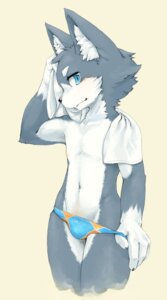 Rating: Questionable Score: 0 Tags: 4_fingers anthro biped black_nose blue_clothing blue_eyes blue_speedo blue_swimwear briefs bulge canid canine canis claws clothed clothing clothing_pull collarbone crotch_lines domestic_dog e621 fingers front_view fur grey_body grey_fur hi_res inner_ear_fluff kuroisumi looking_at_viewer male mammal multicolored_body multicolored_fur navel nipples orange_clothing orange_speedo orange_swimwear pink_nipples portrait simple_background skimpy slim slim_anthro slim_male snout solo speedo speedo_pull standing swimwear three-quarter_portrait towel towel_around_neck tuft two_tone_body two_tone_fur two_tone_speedo underwear underwear_pull undressing white_body white_fur white_towel yellow_background User: bunchy7s