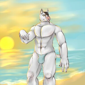 Rating: Questionable Score: 0 Tags: 1:1 abs anthro beach biceps biped black_hair blue_eyes bulge canid canine canis claws clothed clothing cloud detailed_background domestic_dog e621 fur hair hi_res male mammal marshalpizza muscular muscular_anthro muscular_male outside pecs pink_nose pose sand sea seaside short_hair sky solo speedo standing sun swimwear topless underwear water white_body white_fur User: bunchy7s
