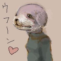 Rating: Safe Score: 0 Tags: 1:1 cave_story chaco_(cave_story) creepy e621 female fur heart_symbol japanese_text lagomorph low_res mammal mimiga nightmare_fuel purple_body purple_fur realistic solo text thumbnail unknown_artist what_has_science_done User: bunchy7s Rating: Safe Score: 0 Tags: 1:1 cave_story chaco_(cave_story) creepy e621 female fur heart_symbol japanese_text lagomorph low_res mammal mimiga nightmare_fuel purple_body purple_fur realistic solo text thumbnail unknown_artist what_has_science_done User: bunchy7s
