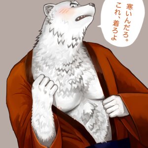 Rating: Questionable Score: 0 Tags: 1:1 anthro bear blush clothed clothing e621 japanese_text kurono_rokurou male mammal open_clothing open_robe polar_bear robe solo text translated undressing ursine User: bunchy7s