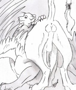 Rating: Explicit Score: 0 Tags: accessory animal_genitalia animal_penis anus balls blaquetygriss butt claws e621 erection feathered_wings feathers felid felid_taur feline_genitalia feline_penis furgonomics genitals male mammal mammal_taur monochrome nude pantherine pantherine_taur penis presenting scotty_panthertaur sheath solo tail tail_accessory tailband taur toe_claws white_balls white_sheath wings User: bunchy7s