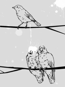 Rating: Explicit Score: 0 Tags: 3:4 ambiguous_gender avian avian_feet beak biped bird bird_feces black_eyes branch colored_feces dark_eyes dot_eyes e621 feathers feces feces_on_head feral group in_tree monochrome on_branch outside perching plant pooping pooping_on_another realistic scatplay simple_background simple_eyes snowisland9 tail tail_feathers tree unavailable_at_source unusual_feces urate white_feces User: bunchy7s Rating: Explicit Score: 0 Tags: 3:4 ambiguous_gender avian avian_feet beak biped bird bird_feces black_eyes branch colored_feces dark_eyes dot_eyes e621 feathers feces feces_on_head feral group in_tree monochrome on_branch outside perching plant pooping pooping_on_another realistic scatplay simple_background simple_eyes snowisland9 tail tail_feathers tree unavailable_at_source unusual_feces urate white_feces User: bunchy7s