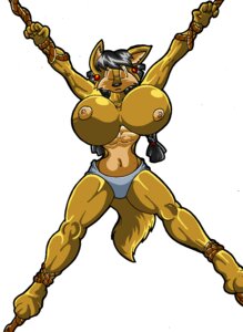 Rating: Questionable Score: 0 Tags: 2011 anthro bdsm big_breasts bondage bound breasts canid canine canis clothing coyote digital_media_(artwork) e621 eyes_closed female hi_res huge_breasts june_coyote mammal navel nipples panties rope solo submissive submissive_female tail underwear virus-20 User: bunchy7s